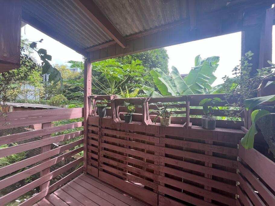 Hostel Pantanal Em Florianópolis Extérieur photo